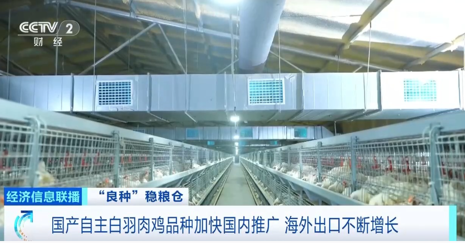 EWC电竞世界杯(中国区)有限公司-官方网站