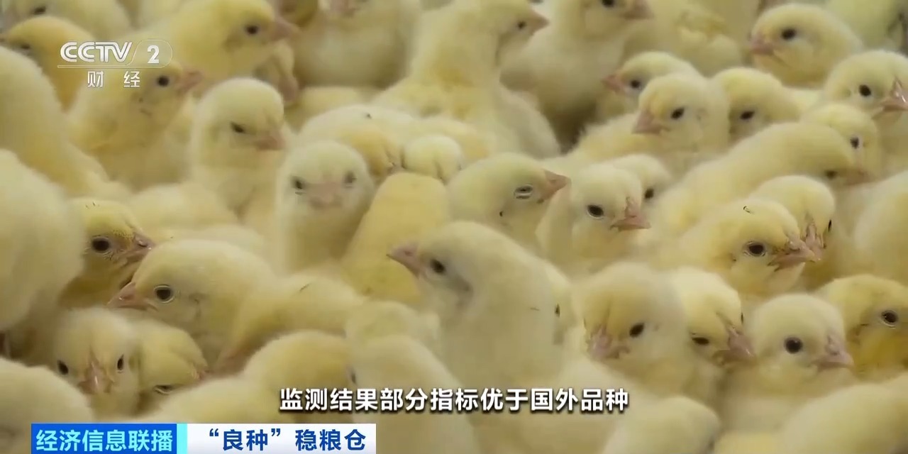 EWC电竞世界杯(中国区)有限公司-官方网站